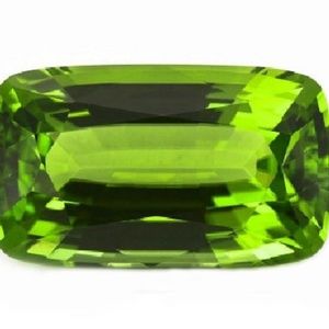 Meet your Posher, Brady